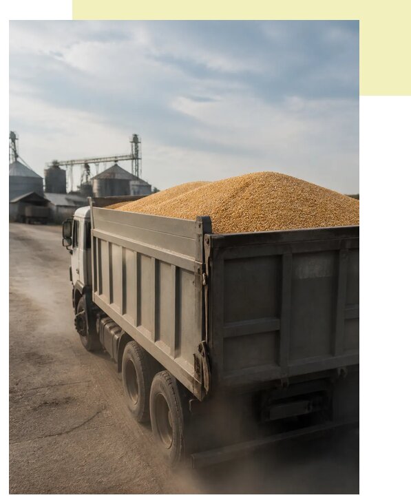 Перевозка сельхозпродукции навалом в Городец по цене от 3037 р. | Агросервис-Грд
