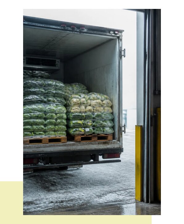 Перевозка замороженных овощей в Городец автотранспортом